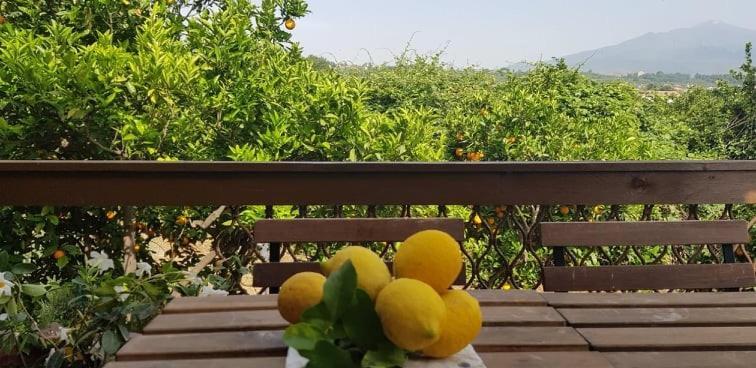 L'Aranceto Villa Acireale Dış mekan fotoğraf