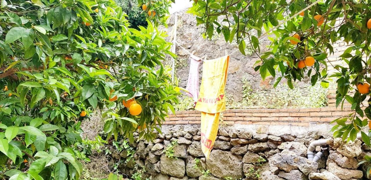 L'Aranceto Villa Acireale Dış mekan fotoğraf