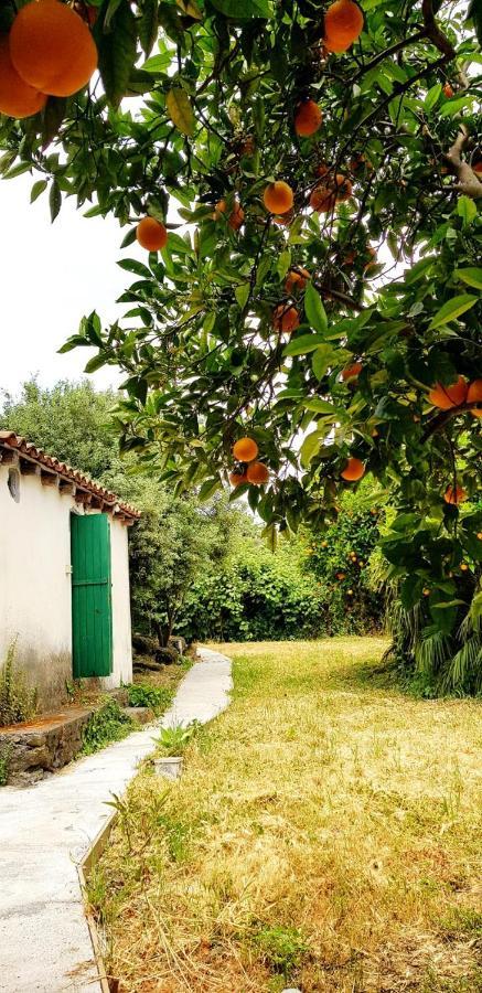 L'Aranceto Villa Acireale Dış mekan fotoğraf