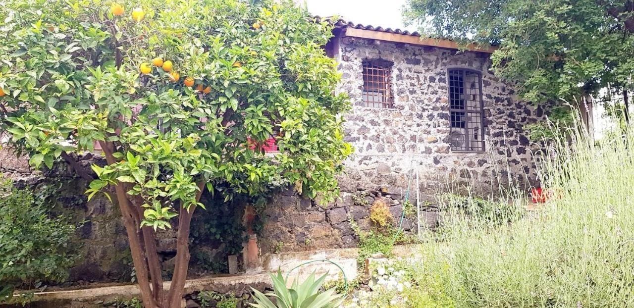 L'Aranceto Villa Acireale Dış mekan fotoğraf