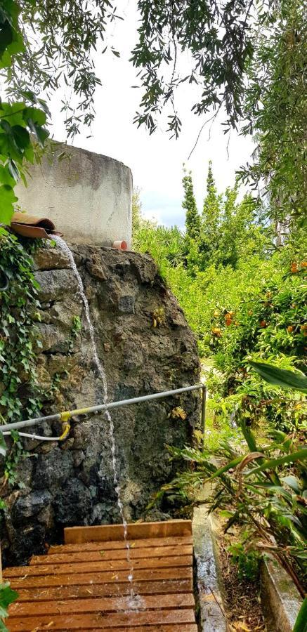 L'Aranceto Villa Acireale Dış mekan fotoğraf