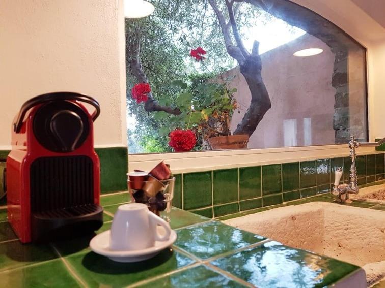 L'Aranceto Villa Acireale Dış mekan fotoğraf